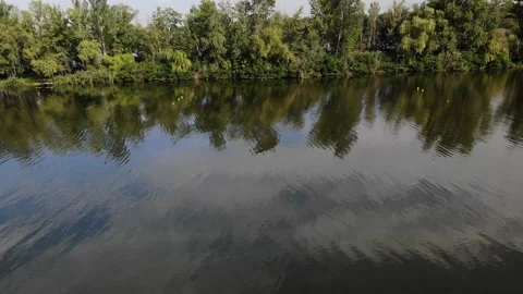 Two rivers separated by a forest drone view Stock Footage 140390207