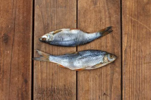 Two of roach traditional salted fish from Astrakhan on the dark wooden boards Stock Photos
