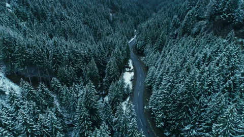 Two road cyclists ride in winter snow mountain Stock Footage 276409020