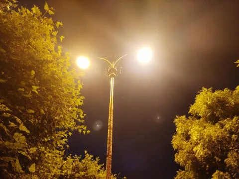 Two road lights along with trees Stock Photos