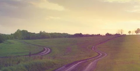 Two roads among the meadows Stock Photos