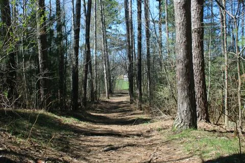 Two roads to choose from Stock Photos