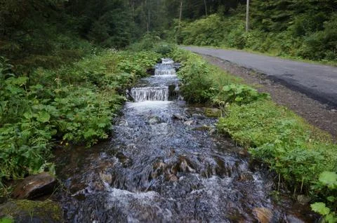 Two roads in the forest Stock Photos