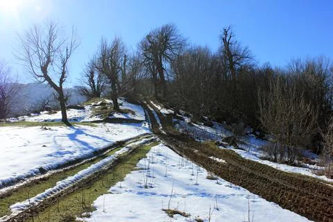 Two roads in the winter forest are connected into one. Masalli region. Azerba Stock Photos