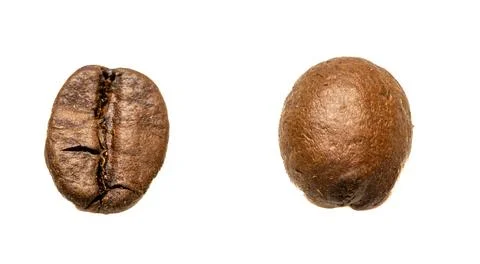 Two roasted coffee beans, one showing a split, isolated on a white backgrou.. Stock Photos