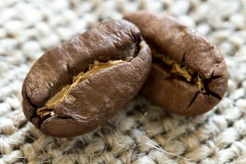 Two roasted coffee beans on a textile background Stock Photos