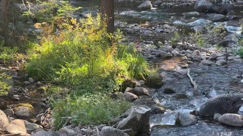 Two rock-filled streams join flows together Stock Footage 273176492