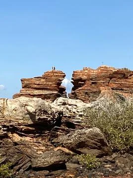 Two rocks one bird Stock Photos