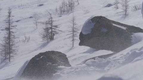 Two rocks in snowstorm Stock Footage 282741997