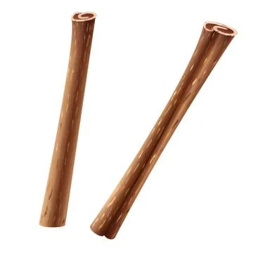 Two rolled sticks of cinnamon. Vector illustration Stock Illustration