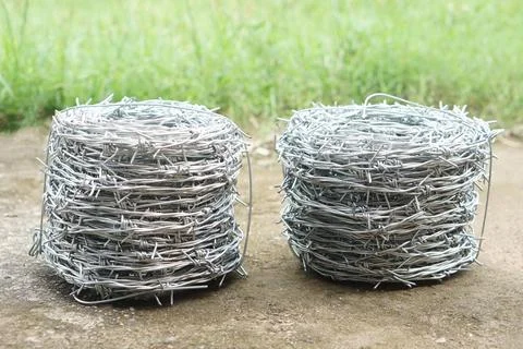 Two rolls of shiny barbed wire placed on the ground with green grass in the back Stock Photos