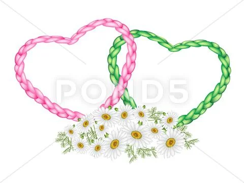Two Rope Heart with A White Daisy Flower Stock Illustration