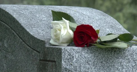 Two Roses On Headstone / Grave Stone In Cemetery Stock Footage 92273780