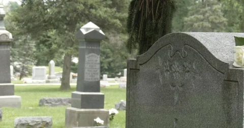 Two Roses On Headstone / Grave Stone In Cemetery - Pan Stock Footage 92274000