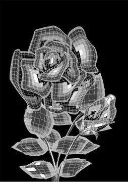 Two roses Stock Illustration