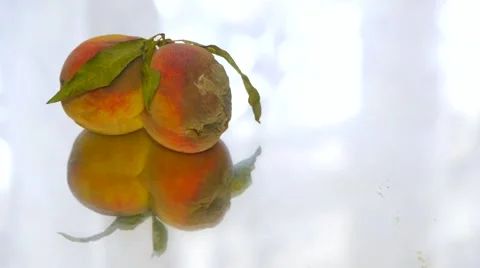 Two rotten peach lies on the mirror table, close-up Stock Footage
