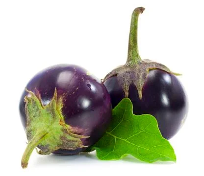 Two round eggplants isolated on a white background Stock Photos