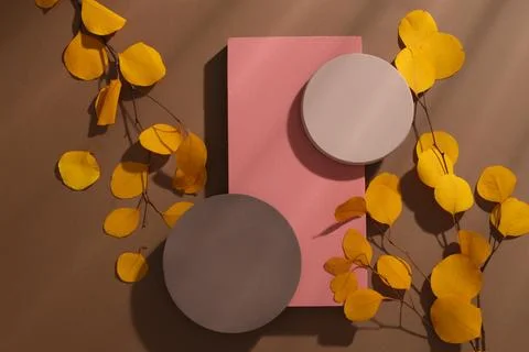 Two round podiums stacked on a rectangle podium, displayed with dried leaves. Stock Photos