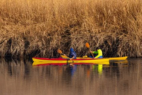 Two rowers sail on the river Stock Photos