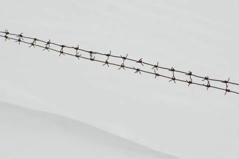Two rows of barbed wire on a background of snow Stock Photos