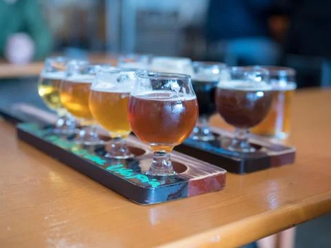 Two rows of beer flights at a bar Stock Photos