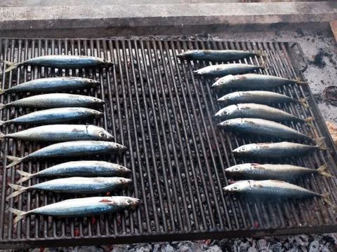 Two rows of mackarel fish on grill Foto stock