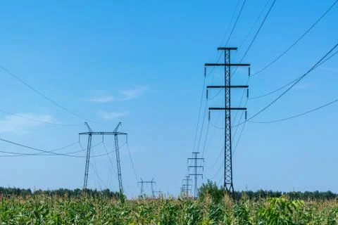 Two rows of pylons. In the foreground a field of corn. Stock Photos