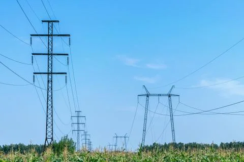 Two rows of pylons. In the foreground a field of corn. Stock Photos