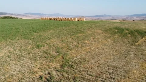 Two rows of round bales in the middle of the Tuscan countryside 库存影片 137185011