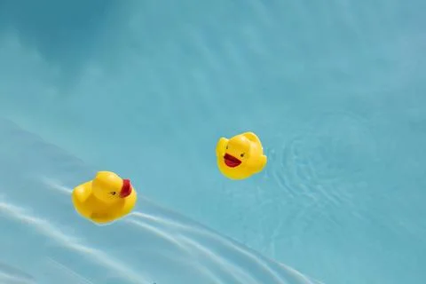 Two rubber ducks floating in clear blue water Stock Photos