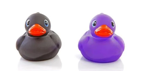 Two rubber ducks isolated on white background Stock Photos
