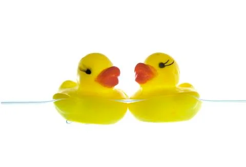 Two rubber ducks Stock Photos