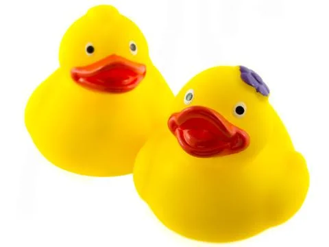 Two rubber ducks 写真素材