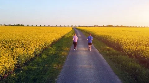 Two runners running on a road at sunset, active fit people doing sport fitness Stock Footage 118650262