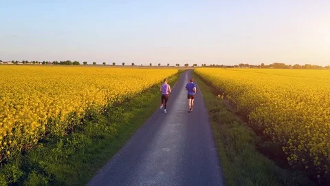 Two runners running on a road at sunset, active fit people doing sport fitness Stock Footage 118650274