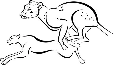 Two running leopard Stock Illustration