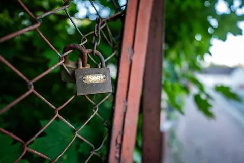 Two rusty padlocks fastened to a metal mesh near leaves Photos