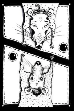 Two sad rat Stockfoto's