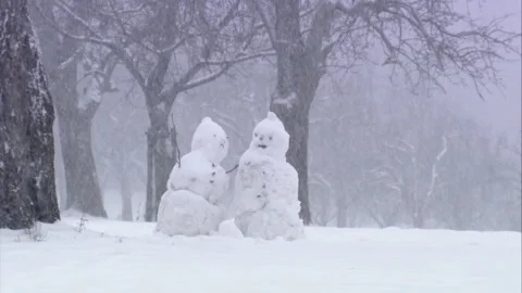 Two sad snowmen on a meadow in winter Stock Footage 288959362