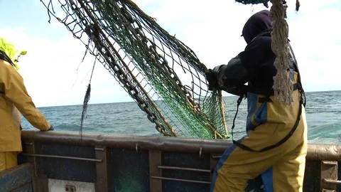 Two sailors, going back up their net full of fish - Full HD Apple ProRes 422 Stock Footage 92055595