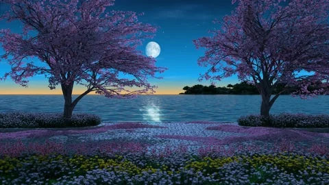 Two sakura trees at night park near the sea Stock Footage 339244969