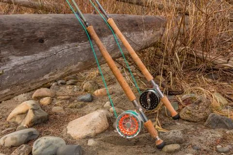 Two salmon spey fly rods resting on a log in the late afternoon sun Stock Photos