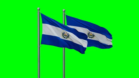 Two Salvador two flags Stock Footage 293212545
