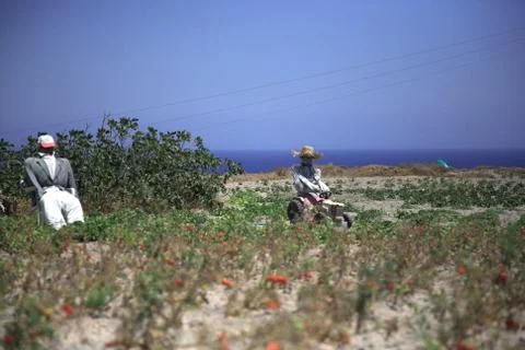Two scarecrows Stock Photos