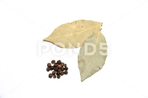 Two scented laurel leaves and several pieces of black pepper Stock Photos