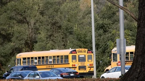 Two School Buses Travelling In One Direction 4K Stock Footage 89522836