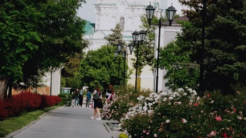 Two school graduates walk through the summer Park after exams. Slow motion Stock Footage 108686078