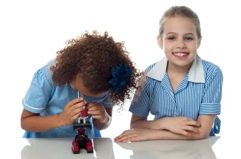 Two school kids doing research Stock Photos