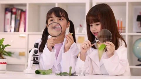 Two Schoolgirls in Lab Coats Exploring Leaves with Magnifying Glasses Stock Footage 346018316