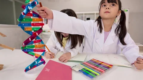 Two Schoolgirls in Lab Coats Studying DNA Model in Science Classroom Stock Footage 345113569